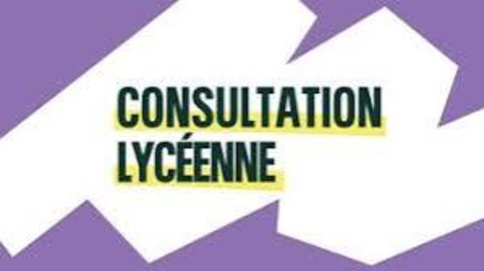 consultation lycéenne.jpg